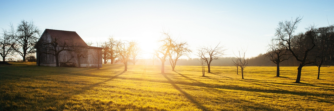 お得な中古情報