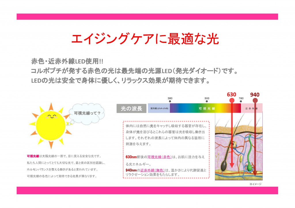 ｺﾙﾎﾟﾌﾟﾁ資料-2-2