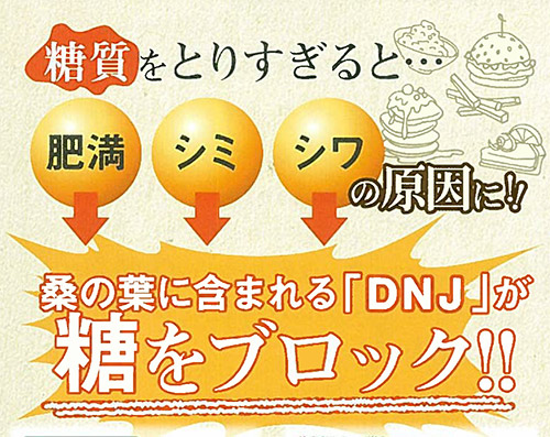 肥満・肌の老化　原因は糖質にあり