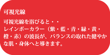 写真：可視光線