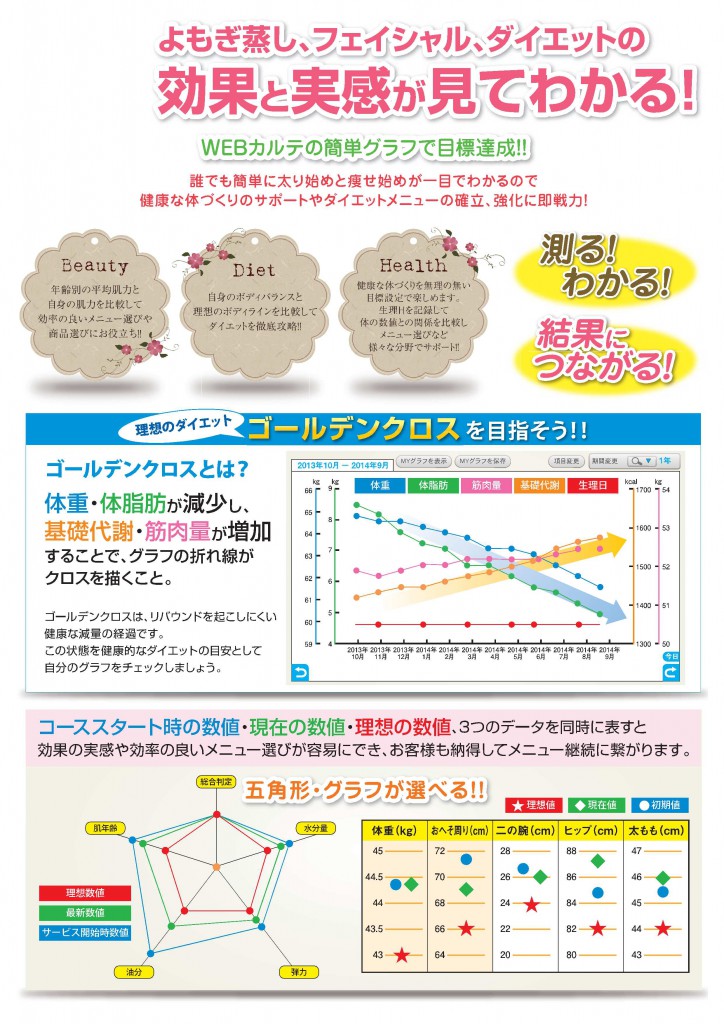 1502 効果と実感が見てわかるA4